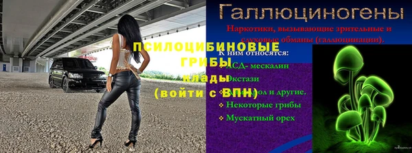 гашик Алзамай